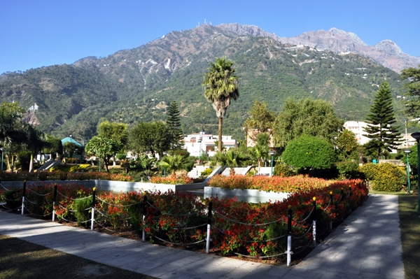 Hotel in Katra, Lodges in Katra